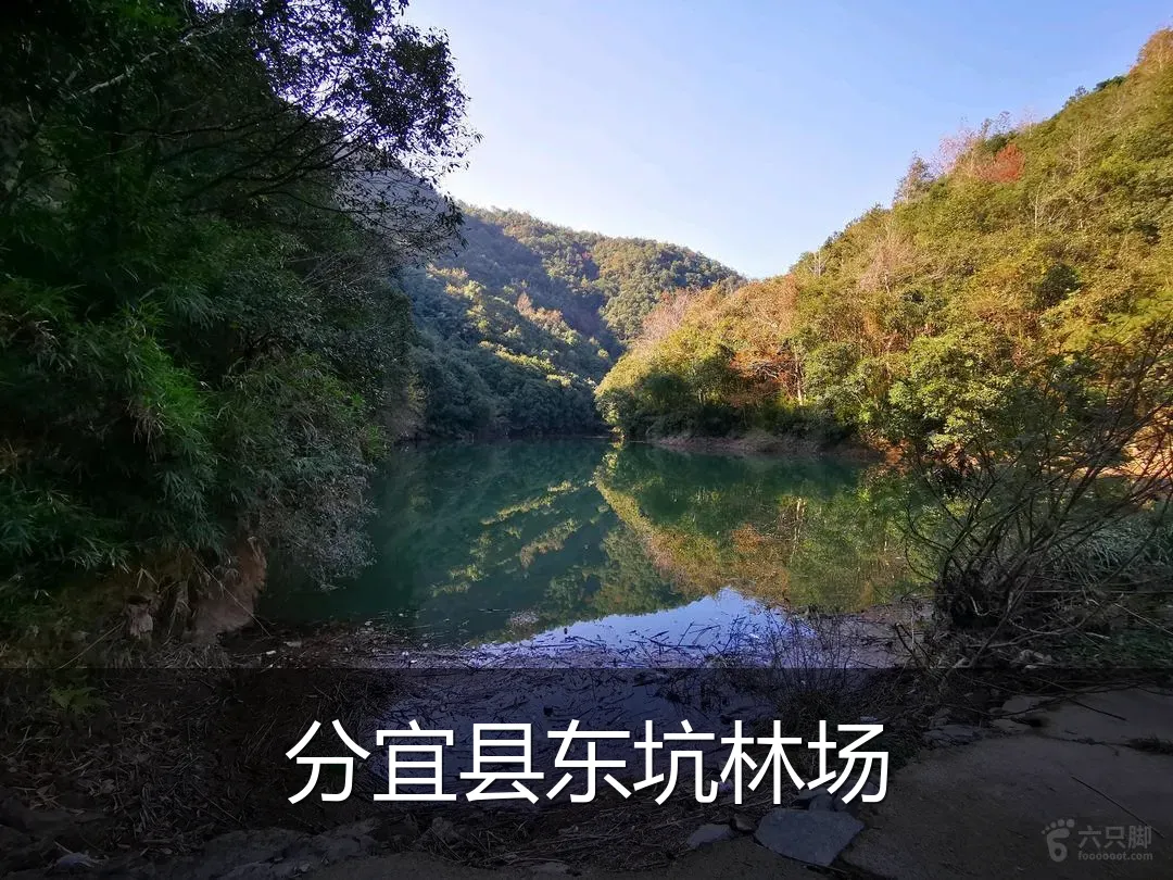 分宜县东坑林场