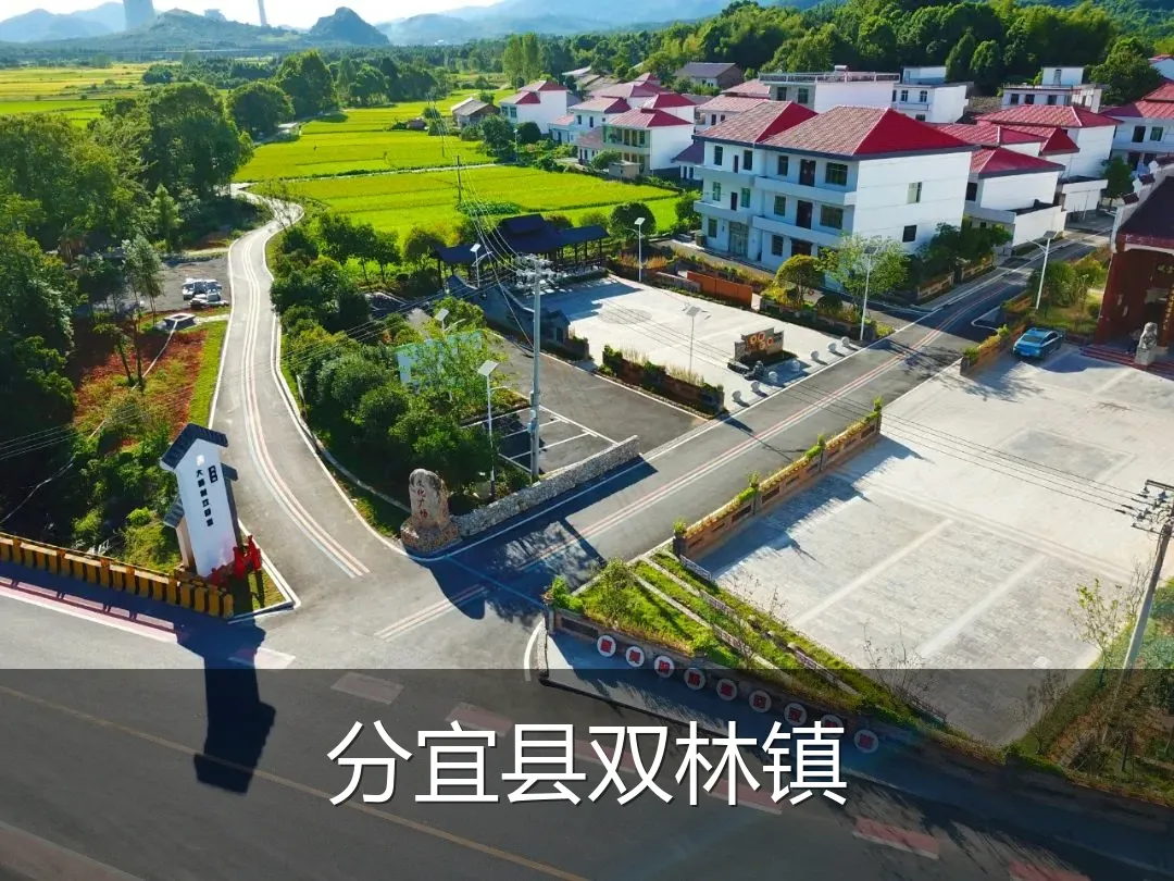 分宜县双林镇