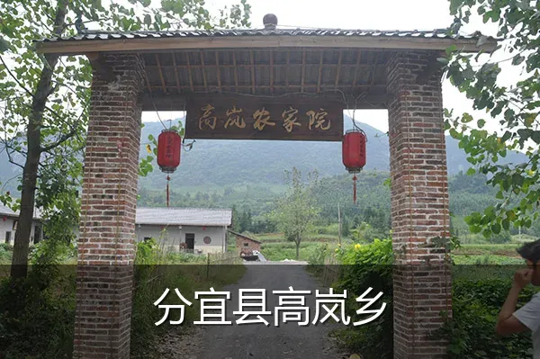 分宜县高岚乡